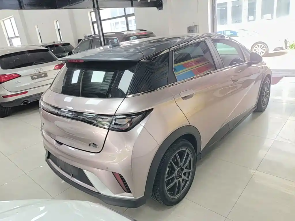 BYD Dolphin 2022