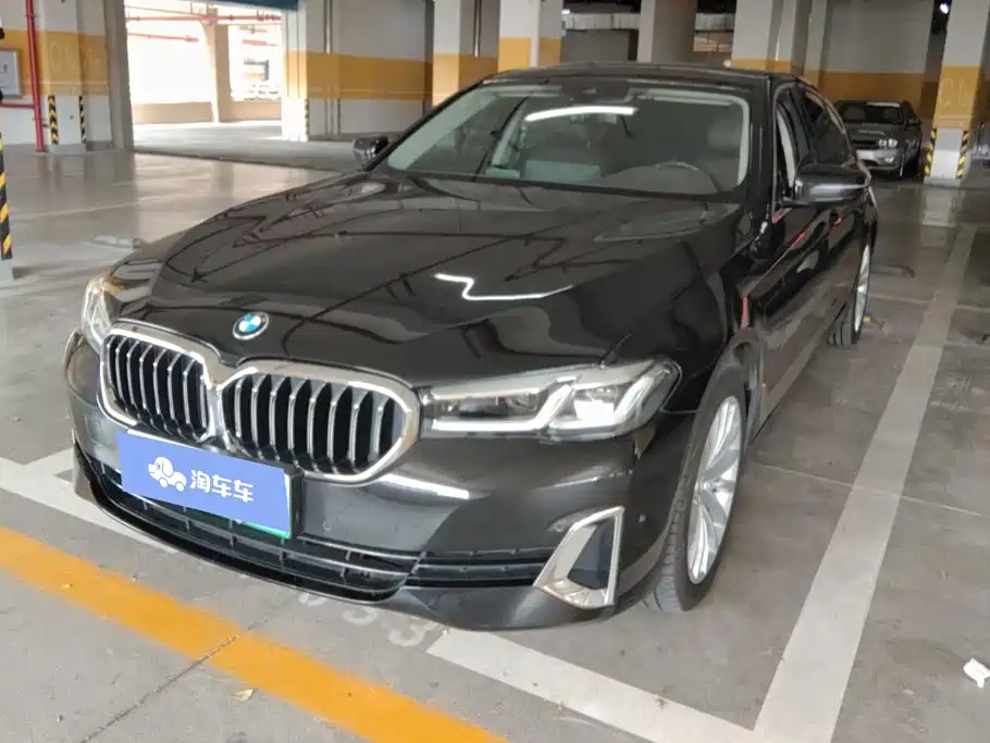 BMW 5 Series New Energy 2021