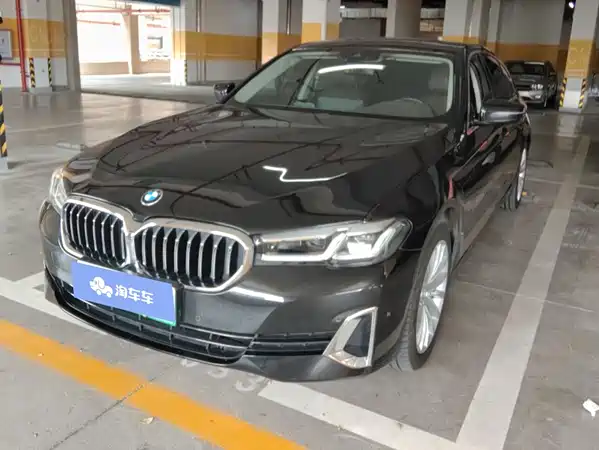 BMW 5 Series New Energy 2021