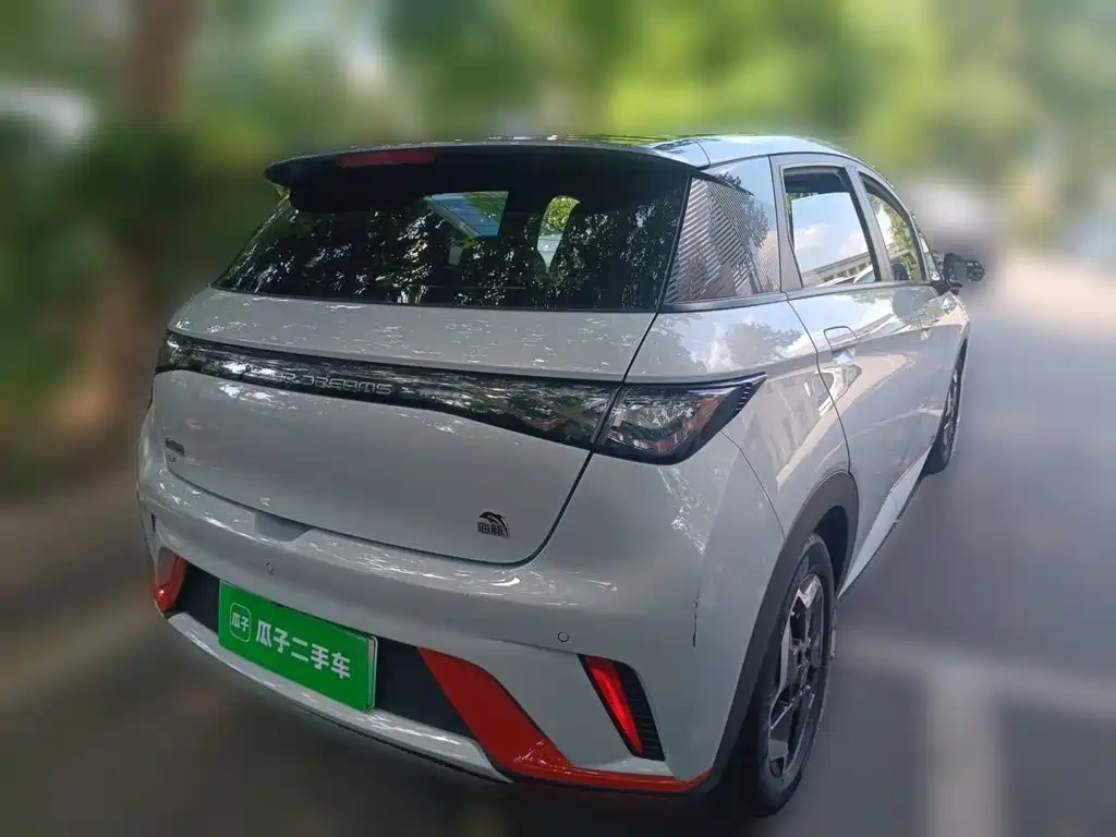 BYD Dolphin 2022