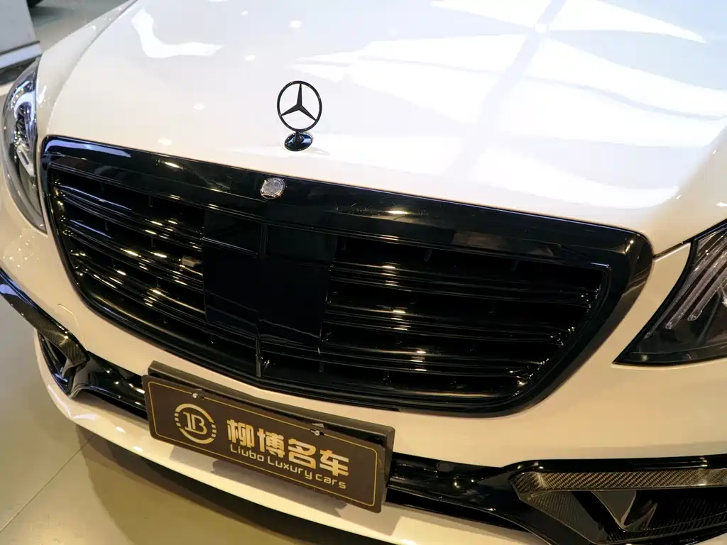 Mercedes-Benz S-Class AMG 2018 — фото 19