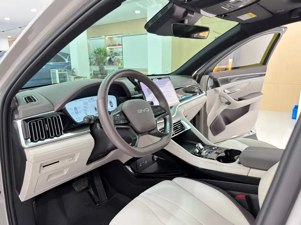 BYD Song PLUS New Energy 2025 — фото 4