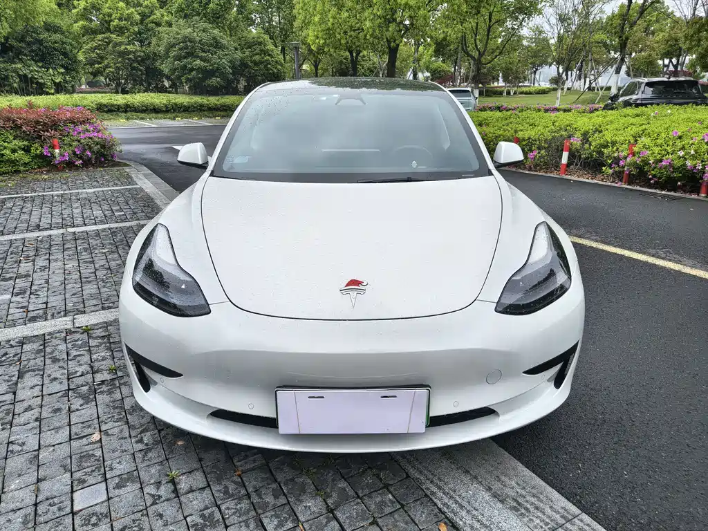Tesla Model 3 2023 — фото 2