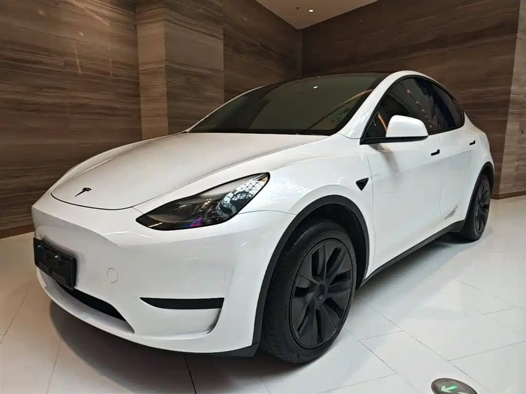 Tesla Model Y 2024 — фото 2