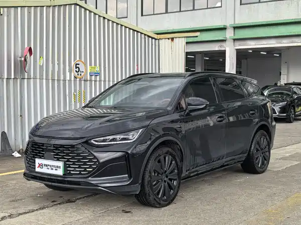 BYD Tang New Energy 2025
