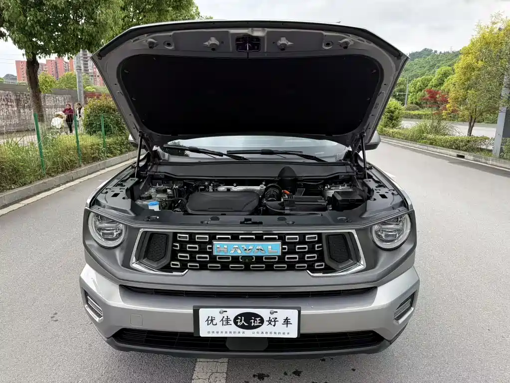 Haval Dargo PLUS EV 2023 — фото 8