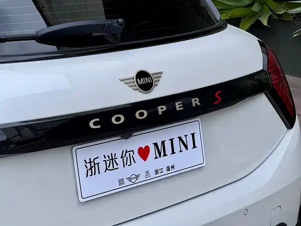 MINI MINI 2025