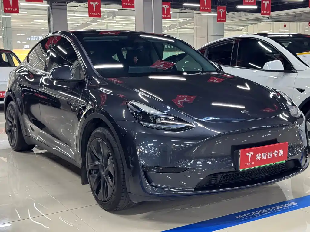 Tesla Model Y 2025 — фото 3