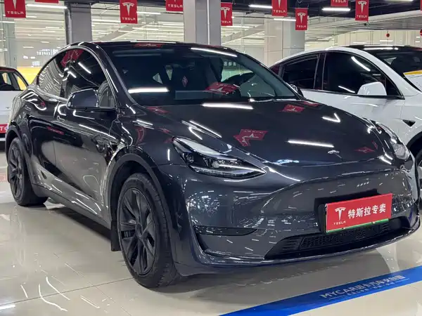 Tesla Model Y 2025