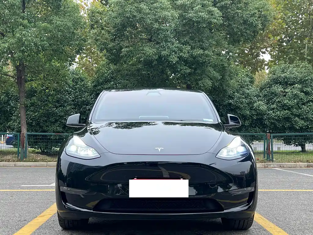Tesla Model Y 2023 — фото 2