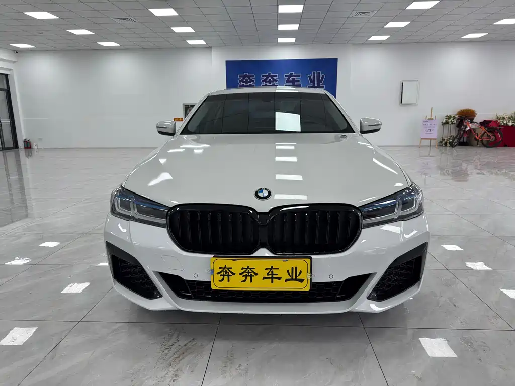 BMW 5 Series 2018 — фото 2