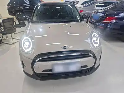 MINI MINI 2024