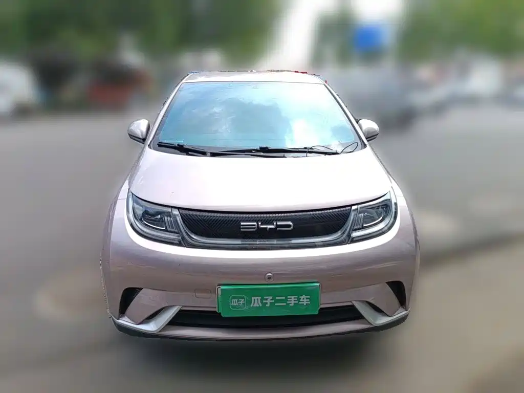 BYD Dolphin 2023