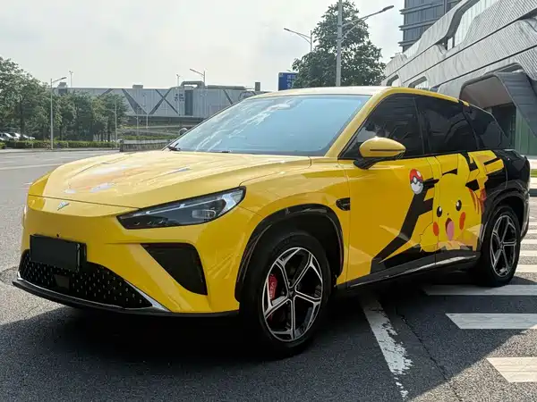 Neta L 2024