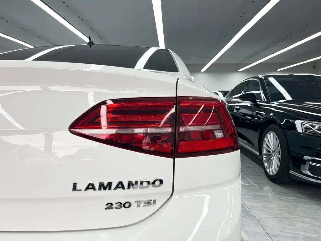 Volkswagen Lamando 2019 — фото 20