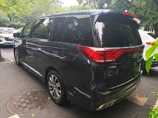 GAC Trumpchi M8 2020