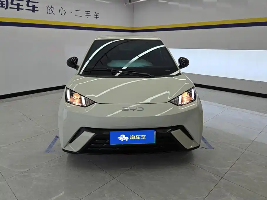 BYD Seagull 2025