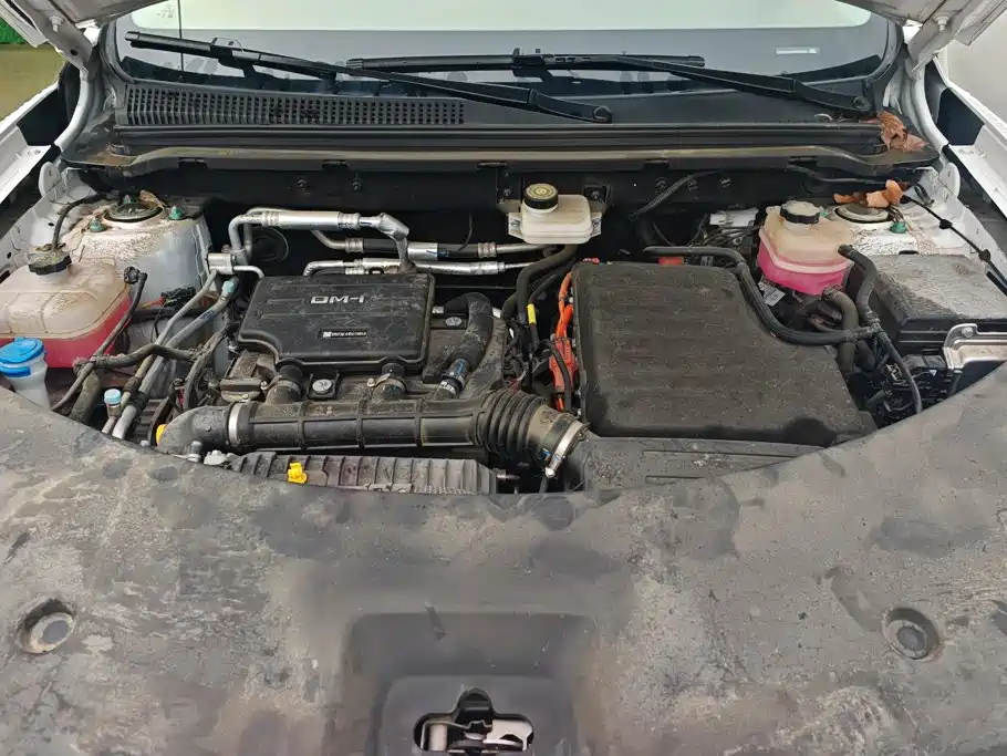 BYD Song Pro New Energy 2025 — фото 9