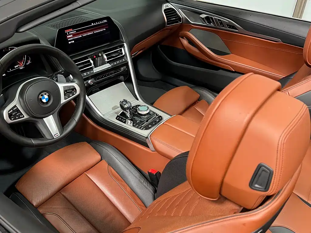 BMW 8 Series 2019 — фото 8