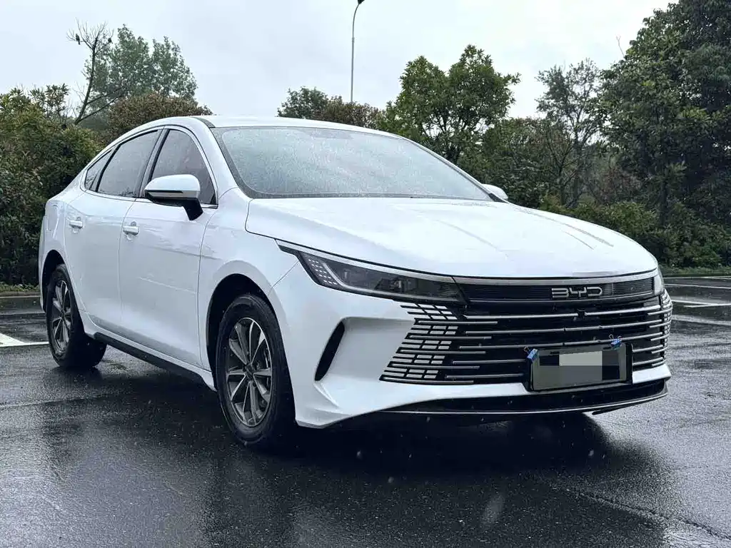 BYD Destroyer 05 2024 — фото 3