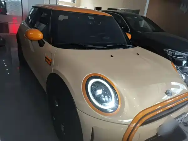 MINI MINI 2024