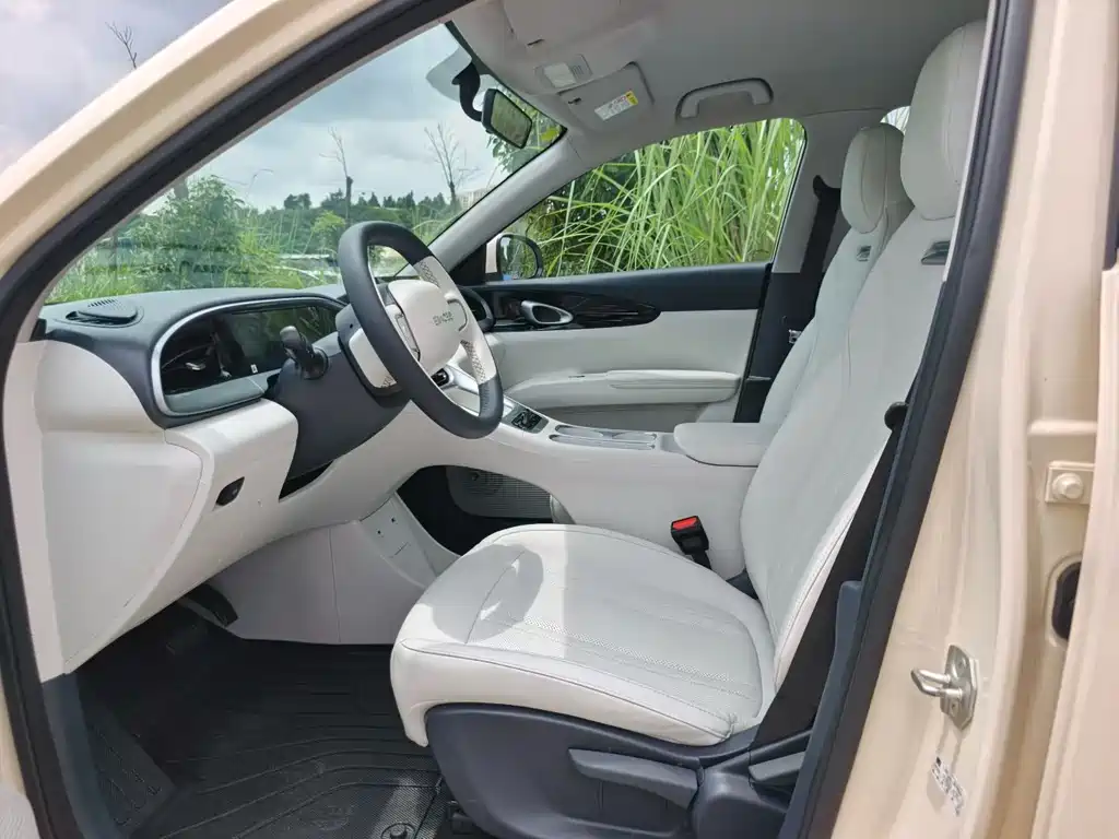 Geely Galaxy Starwish 2024 — фото 5