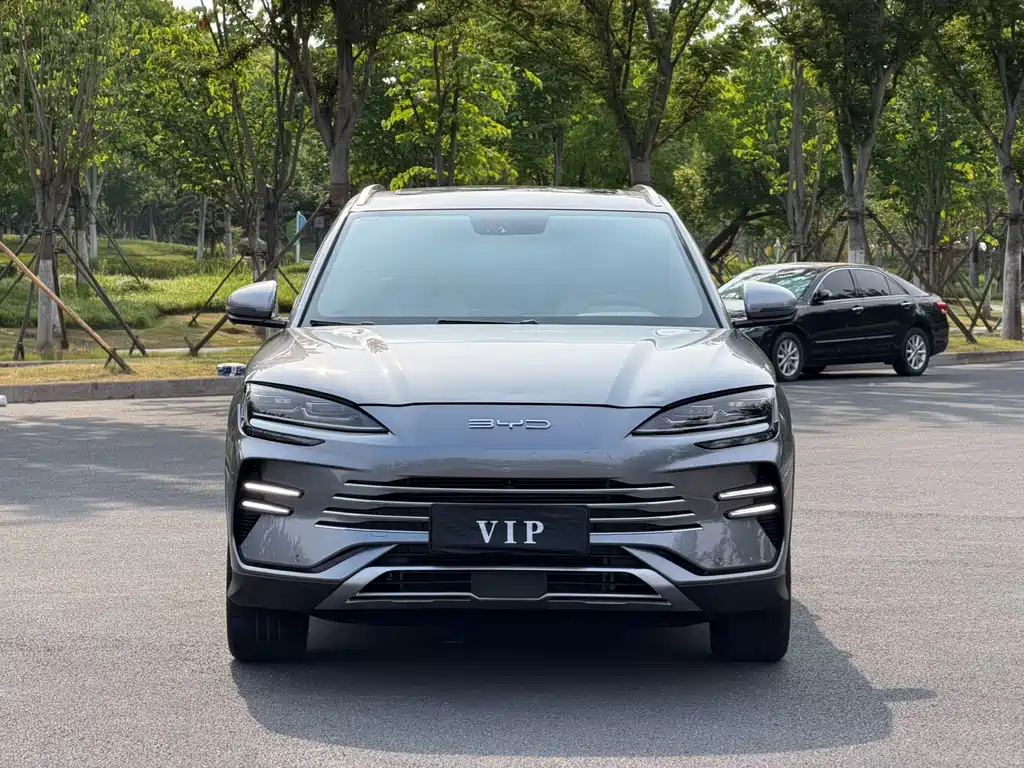 BYD PLUS New Energy 2024 — фото 2