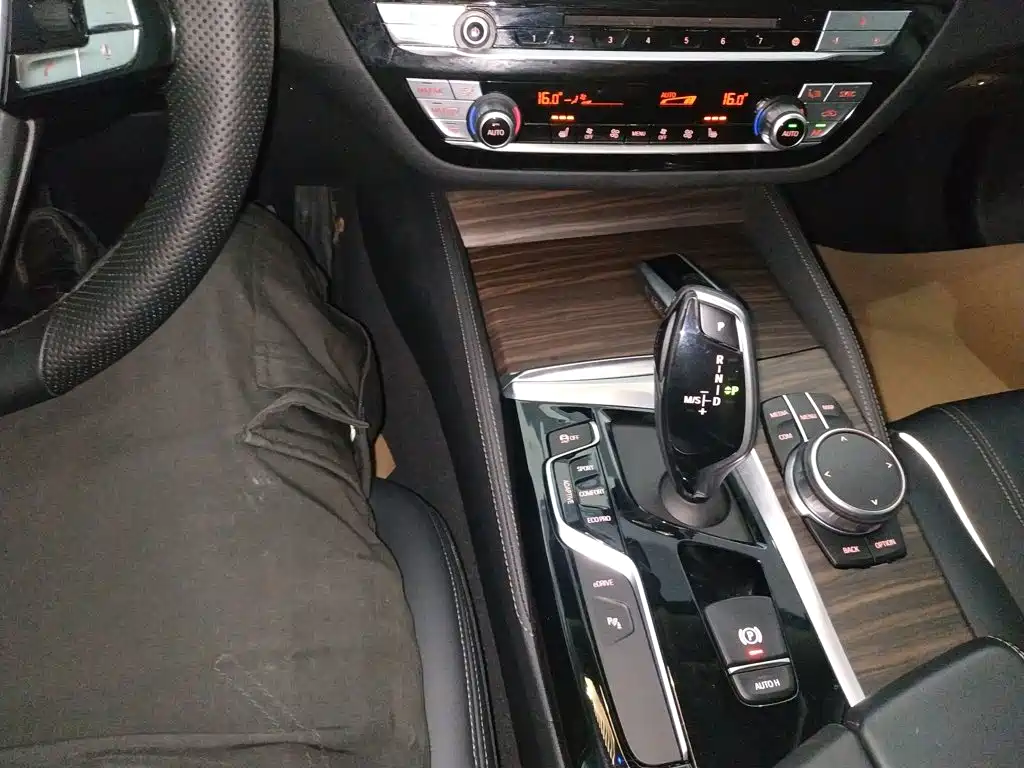 BMW 5 Series New Energy 2019 — фото 14