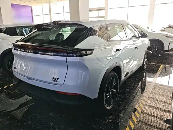 Dongfeng Aeolus SKY 2025