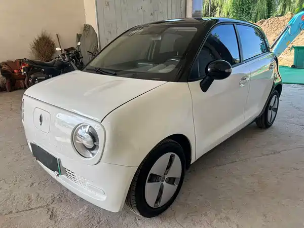 Ora Black Cat 2020