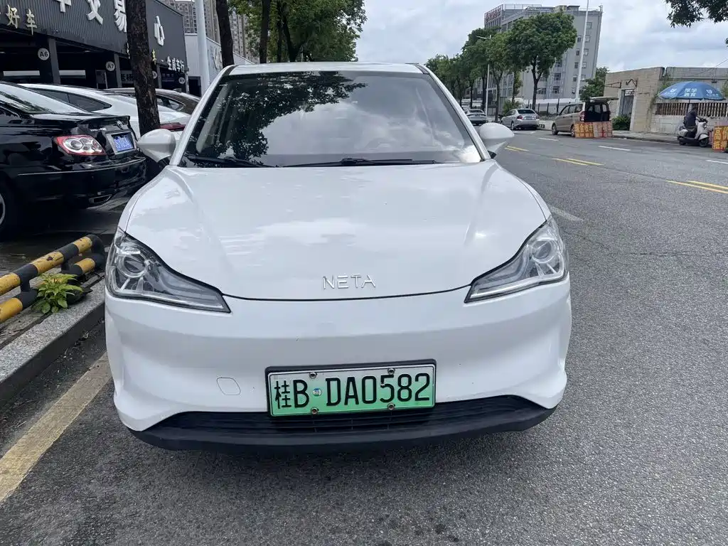 Neta V 2021