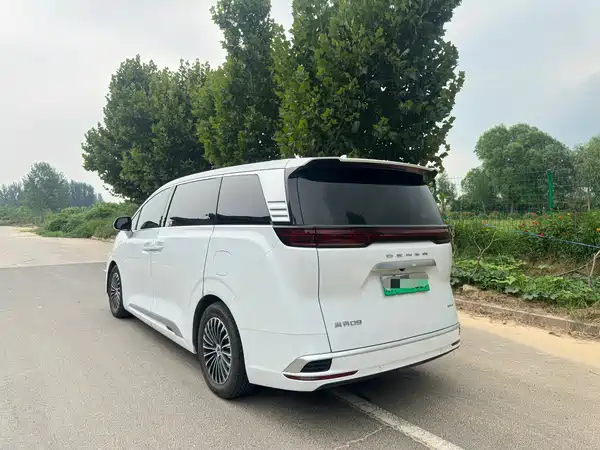Denza D9 2023