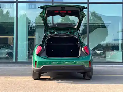 MINI MINI 2025