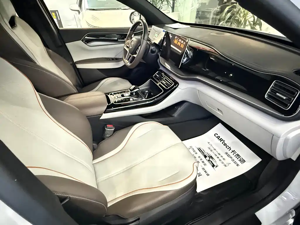 BYD Qin PLUS 2023 — фото 10