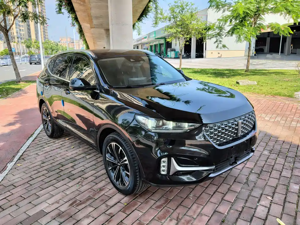 Wey VV6 2020