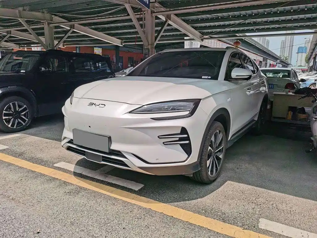 BYD Song PLUS New Energy 2025 — фото 1