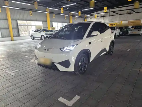 BYD Seagull 2025