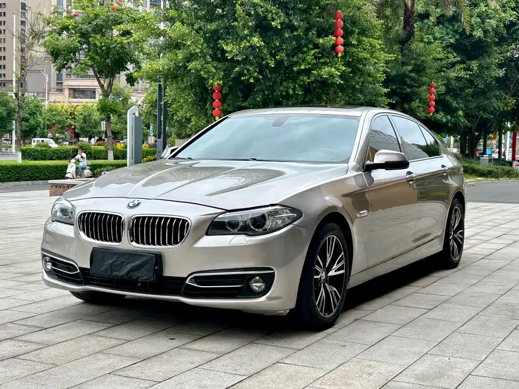 BMW 5 Series 2014