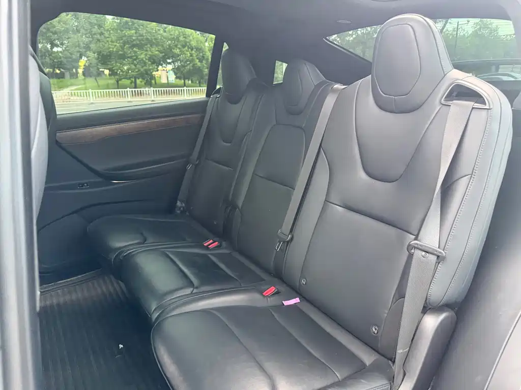 Tesla Model X 2020 — фото 14
