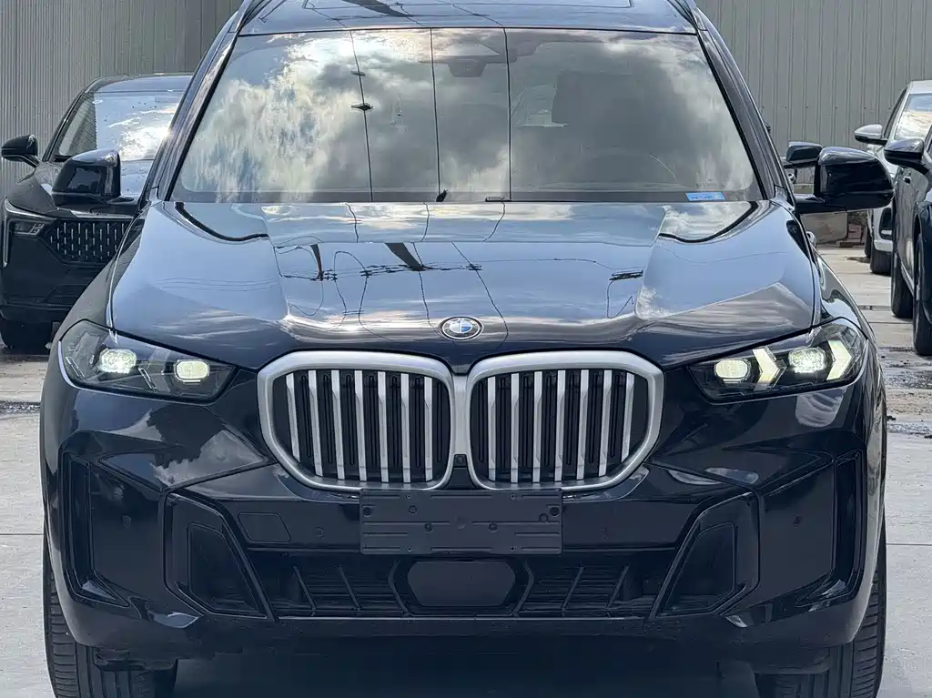 BMW X5 2023 — фото 4
