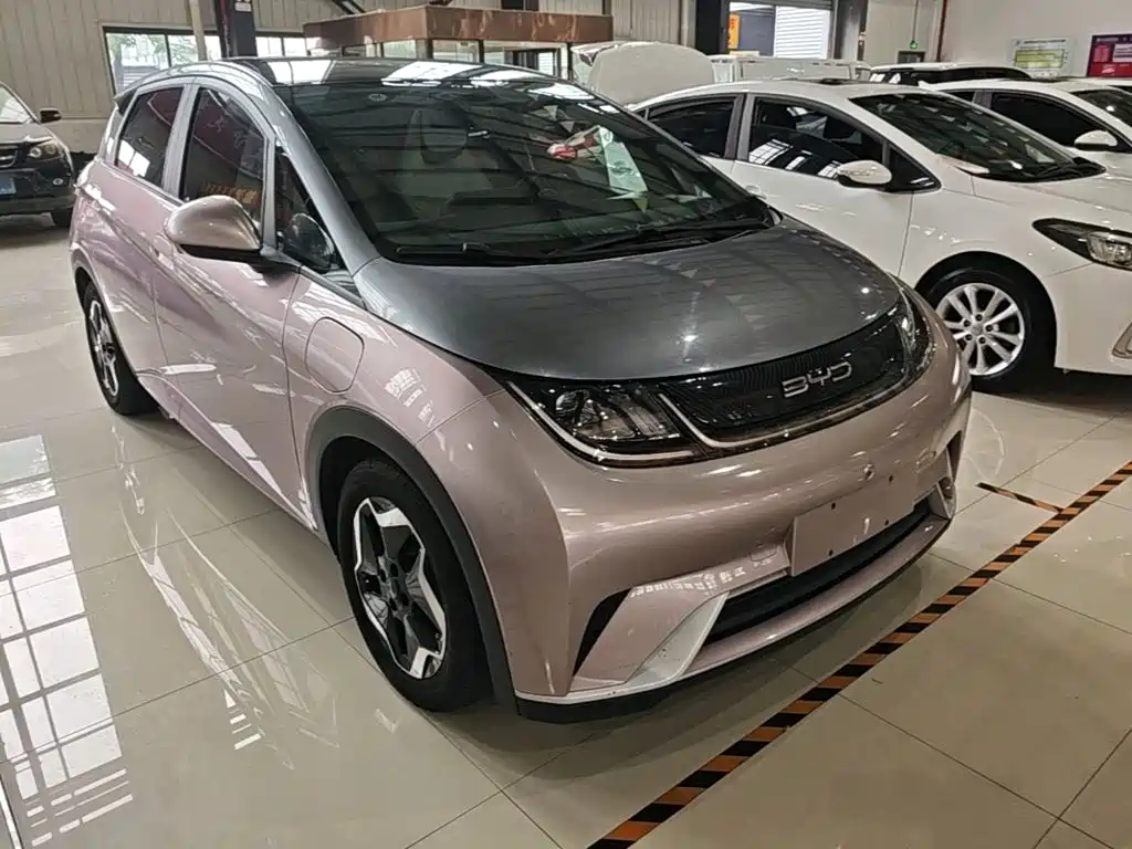 BYD Dolphin 2022