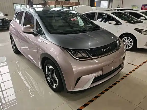 BYD Dolphin 2022