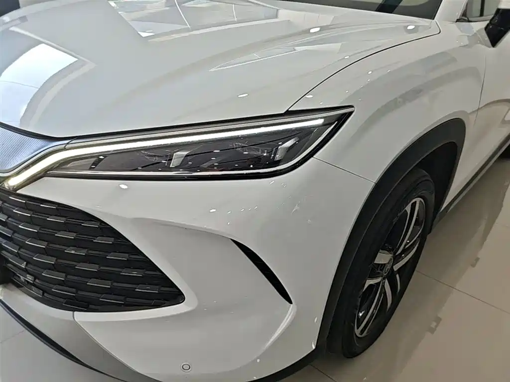 BYD L DM-i 2024 — фото 24