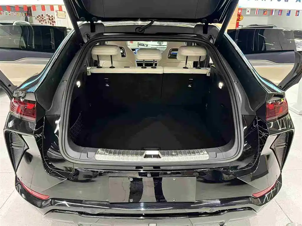 BYD L EV 2024 — фото 10