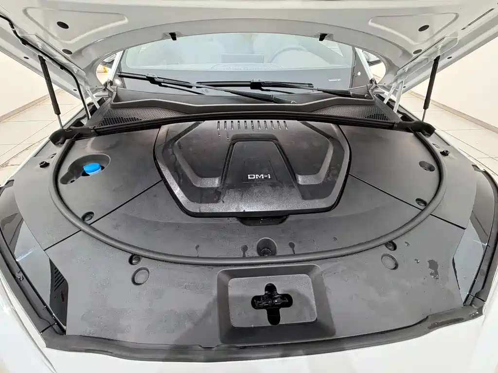 BYD Song PLUS New Energy 2025 — фото 17