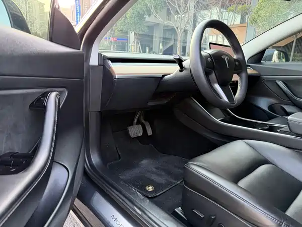 Tesla Model 3 2019