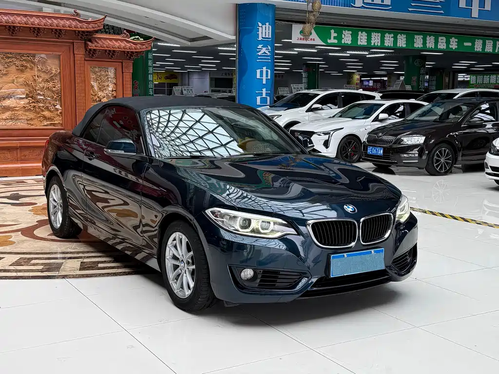 BMW 2 Series 2015 — фото 10