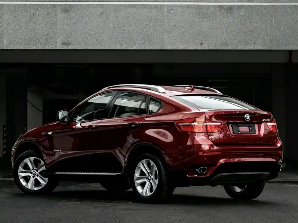 BMW X6 2010 — фото 4