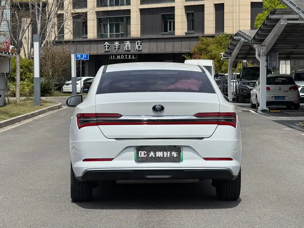 BYD Qin Pro NEV 2020 — фото 5
