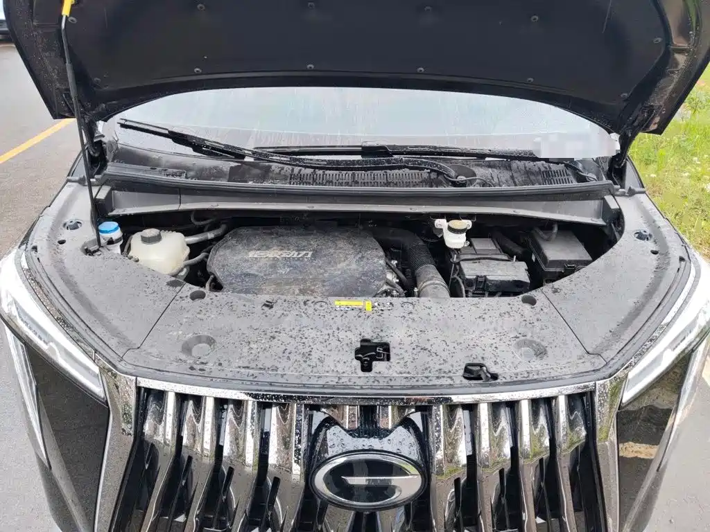 GAC Motor Trumpchi M8 2023 — фото 17